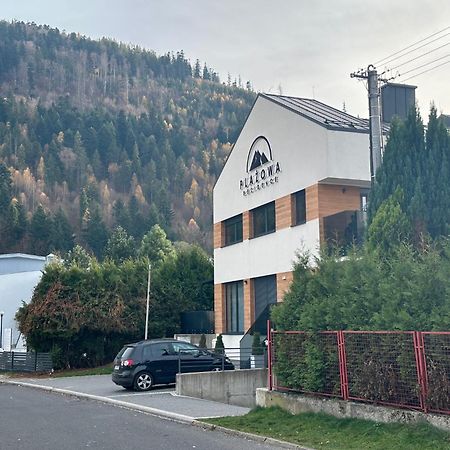 Plazowa Gray Apartament Szczyrk Exterior foto